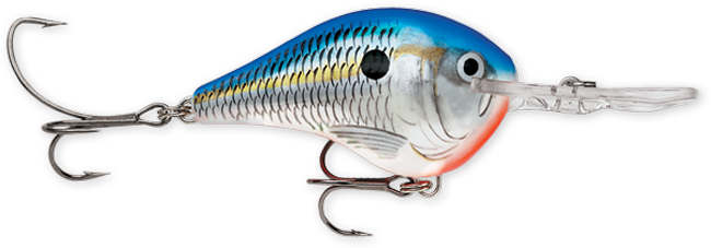 Rapala DT Series 3-5 Blue Shad