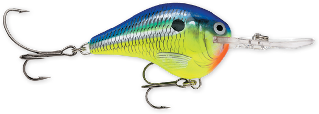 Rapala DT Series 3-5 Parrot