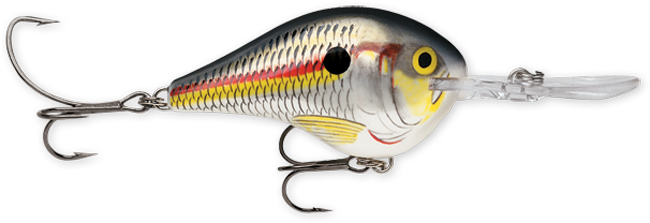 Rapala DT Series 3-5 Shad